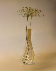 Clear Vase - Plain Hori