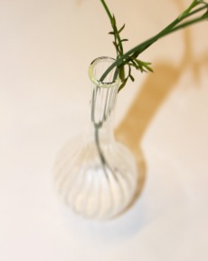 Clear Vase - Stripe Hori