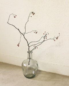 Clear Vase - Plain Hori XL
